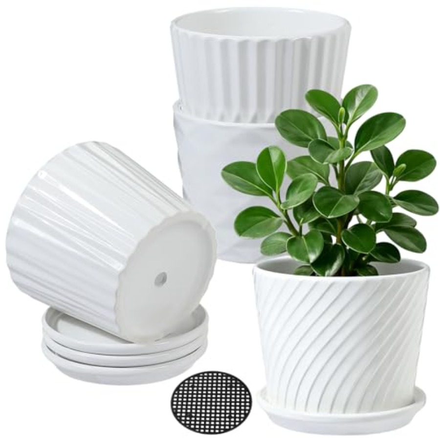 Snake Plant Ceramic - Macetas - Macetas Cilíndricas de Cerámica