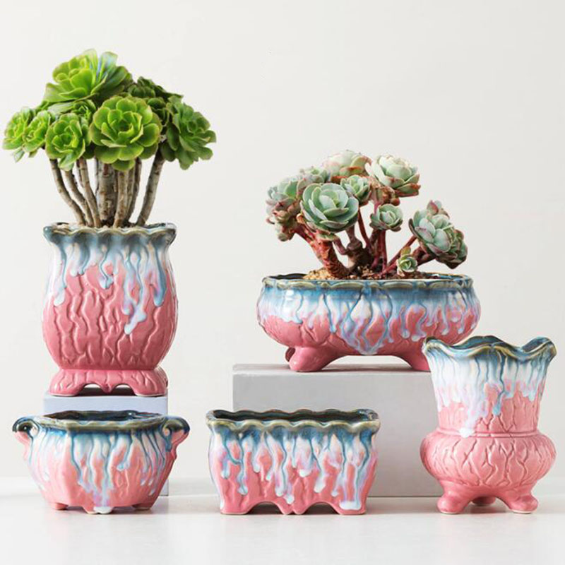 Maceta esmaltada creativa para - Snake Plant Ceramic reseña y precio