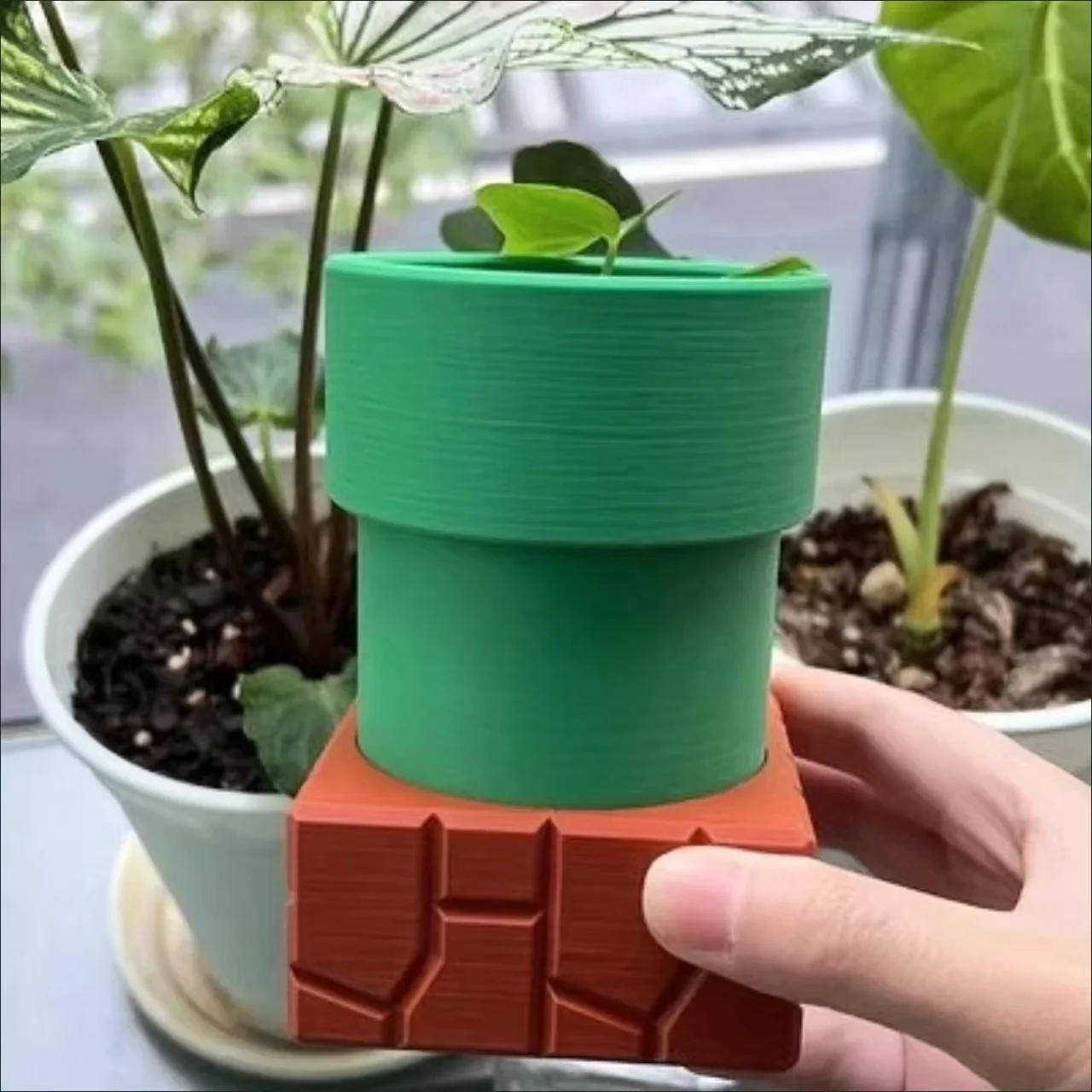 Tubería de agua, macetas caníb - Snake Plant Ceramic reseña y precio