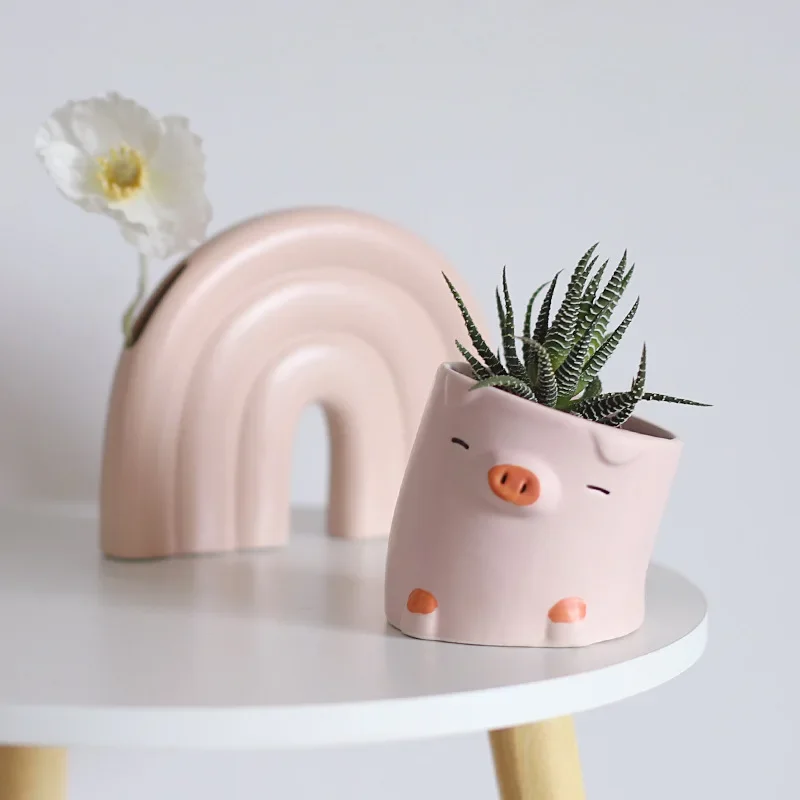 Plantas suculentas de animales - Snake Plant Ceramic reseña y precio