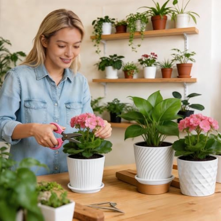 Macetas - Macetas Cilíndricas  - Snake Plant Ceramic reseña y precio
