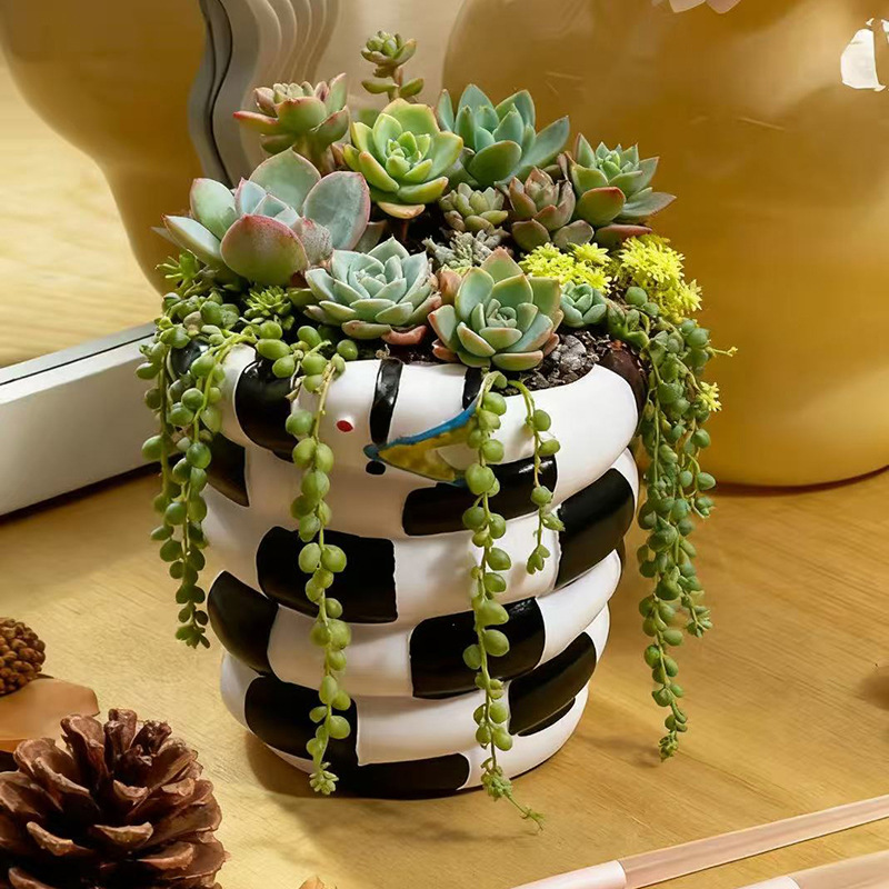Maceta de resina con forma de  - Snake Plant Ceramic reseña y precio