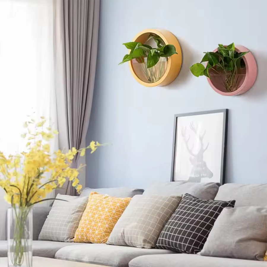 Maceta Redonda para Colgar en  - Snake Plant Ceramic reseña y precio