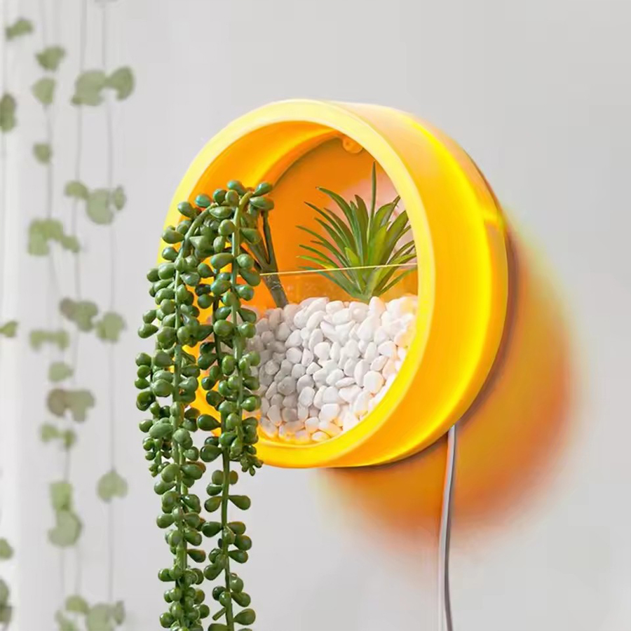 Maceta Redonda para Colgar en  - Snake Plant Ceramic reseña y precio