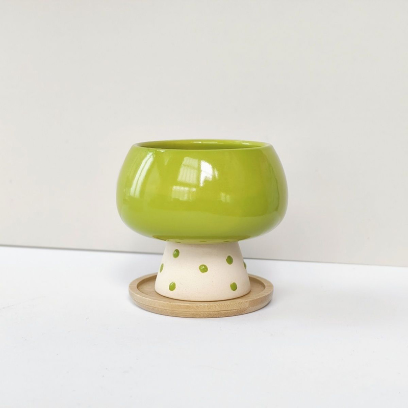 Maceta de Cerámica Minimalista - Snake Plant Ceramic reseña y precio