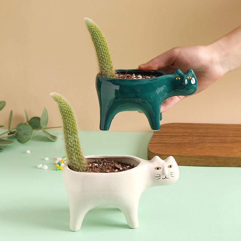 Maceta de cerámica con forma d - Snake Plant Ceramic reseña y precio