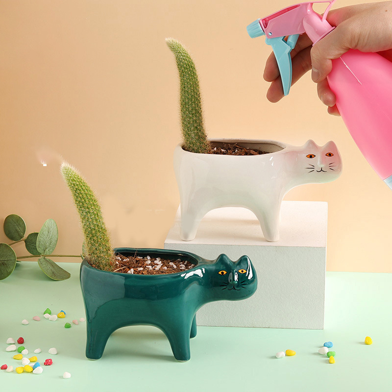 Maceta de cerámica con forma d - Snake Plant Ceramic reseña y precio