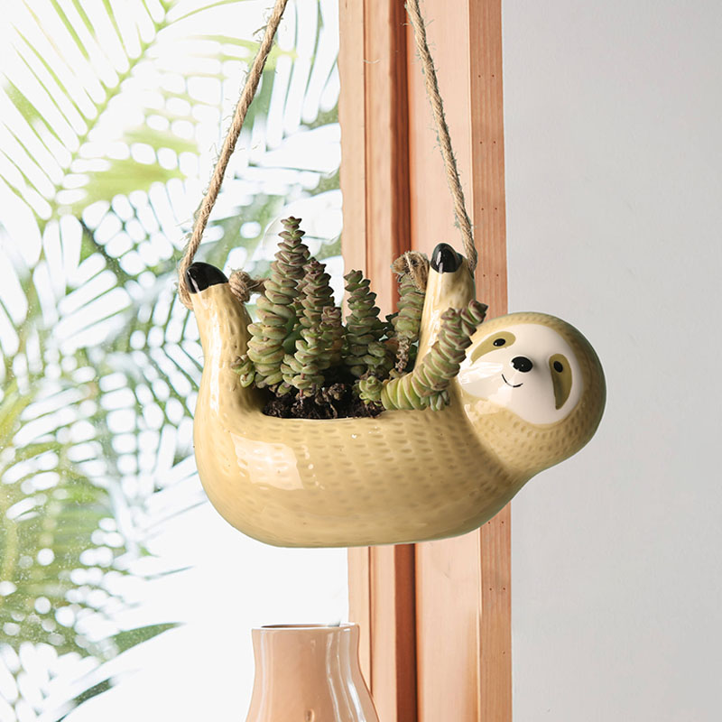 Macetas colgantes de cerámica  - Snake Plant Ceramic reseña y precio